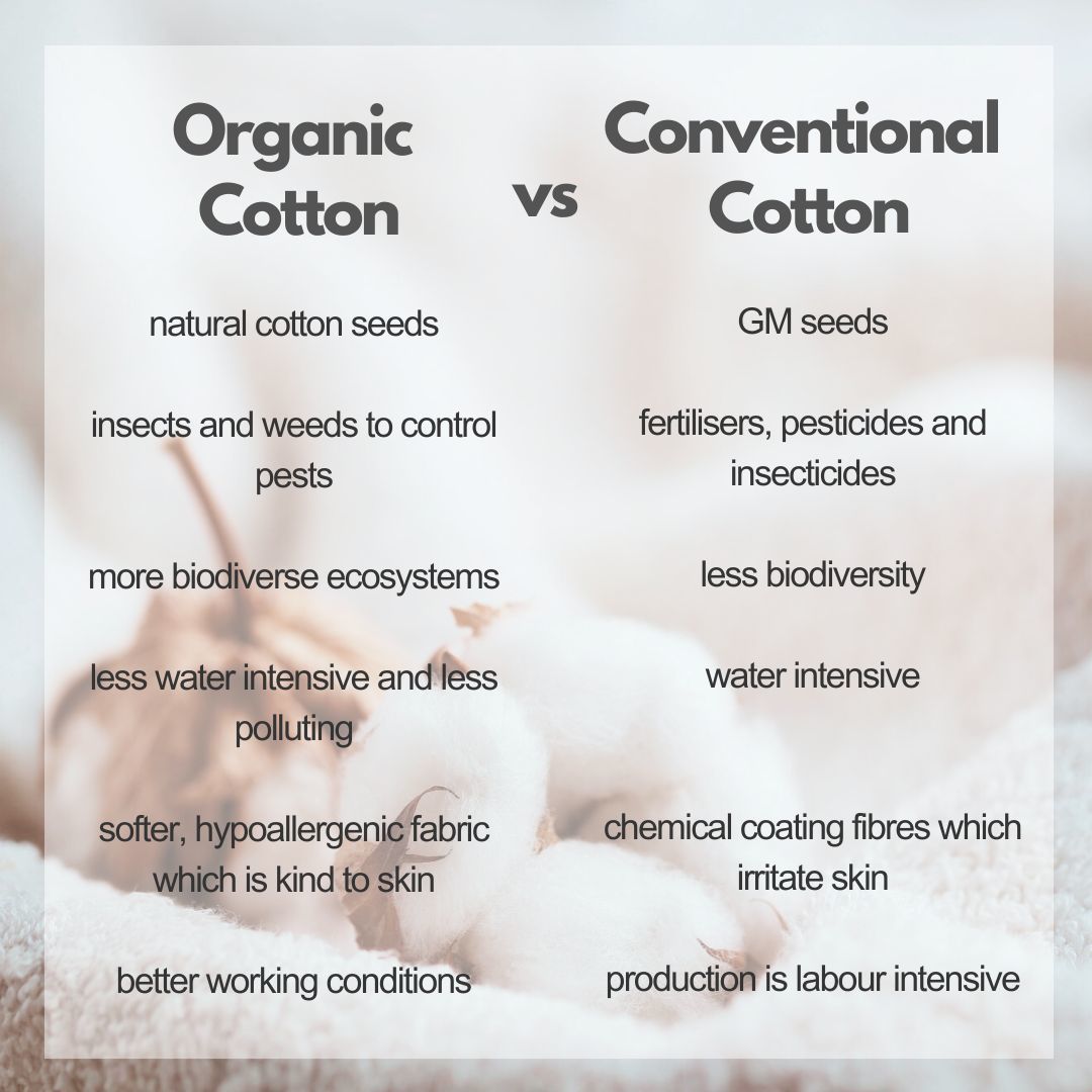 conventional-cotton-vs-organic-cotton